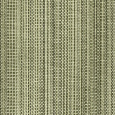 Tempotest Colore Zena 314