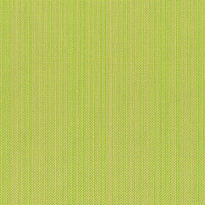 Tempotest Colore Zena 333