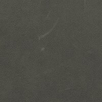 Konfi-Arizona 1261 - elefant