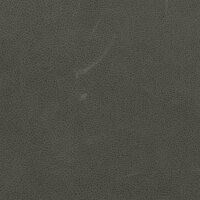 Arizona 1261 - elefant