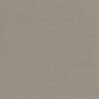 Autoleder Audi Valcona 3280 - kardamonbeige