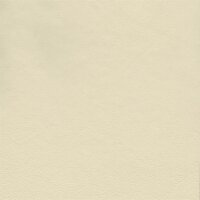 Autoleder Audi Valcona 3690 - seidenbeige