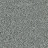 Autoleder Oldtimer DB Classic 0300 - grau