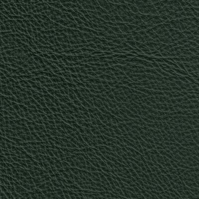 Napoli Colore 2450 - dunkelgrün