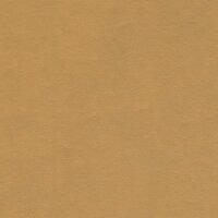 Austin FR caramel