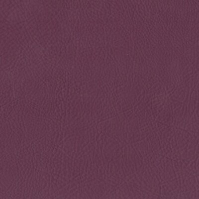 Montana FR purple