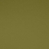 Kunstleder für Auto und Boot 208 x 4124