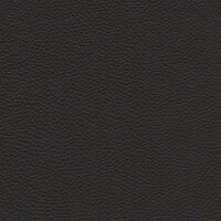 Roma 1279 - umbragrau