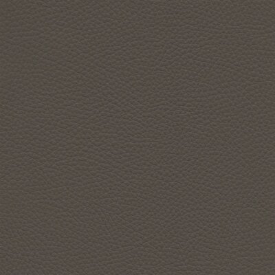 Roma 1402 - fango