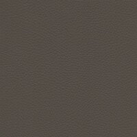 Roma 1402 - fango