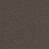 Roma 1434 - stone
