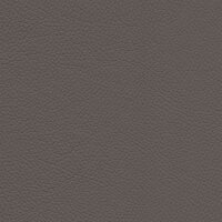 Roma 1492 - taupe