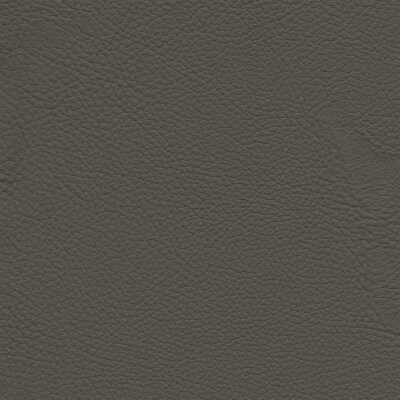 Roma 1516 - gris
