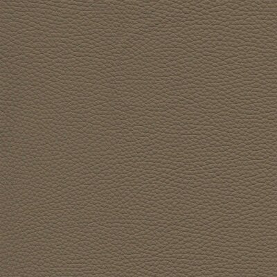 Roma 1562 - cotta