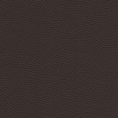 Roma 2296 - apes