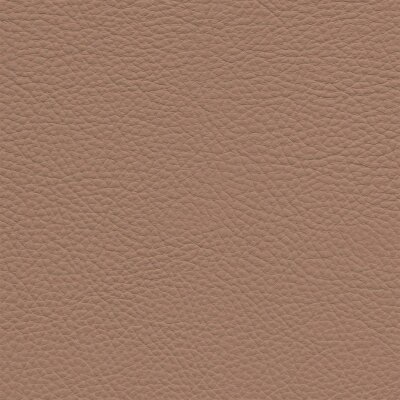Roma 2642 - sahara