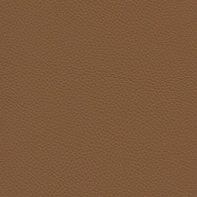 Roma 2813 - natur