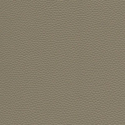 Roma 3333 - coco