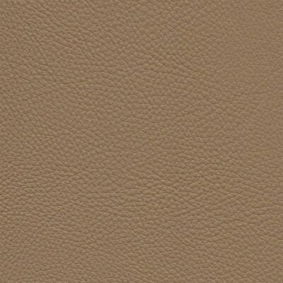 Roma 3688 - savanne
