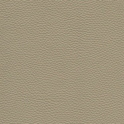 Roma 3822 - elfenbein