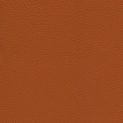 Roma 4856 - safran