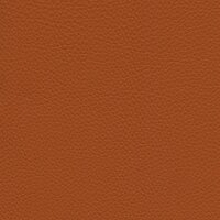 Roma 4856 - safran
