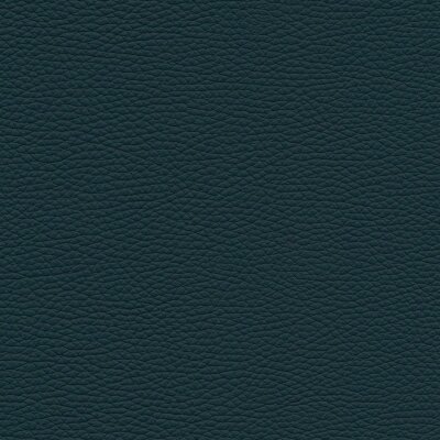 Roma 5856 - petrol