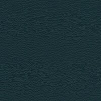 Roma 5856 - petrol
