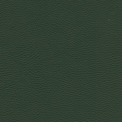 Roma 7523 - arcadia