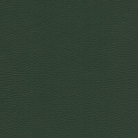 Roma 7523 - arcadia