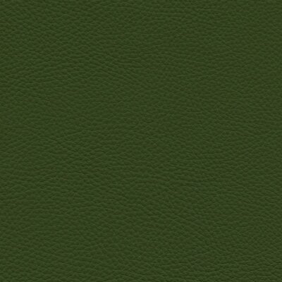Roma 7711 - civaia