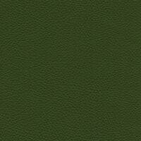 Roma 7711 - civaia