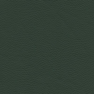 Roma 7796 - grünspan