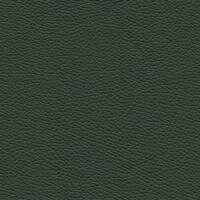 Roma 7796 - grünspan