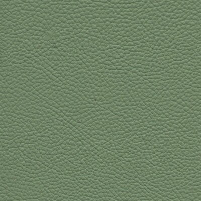 Roma 7830 - mint