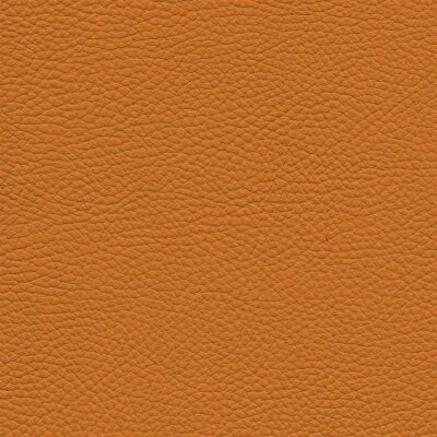 Roma 8350 - mimosa