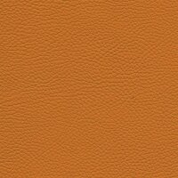 Roma 8350 - mimosa