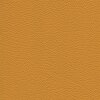 Roma 8530 - sun