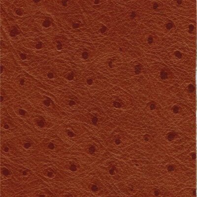 Rindleder Strauß 2532 - tan