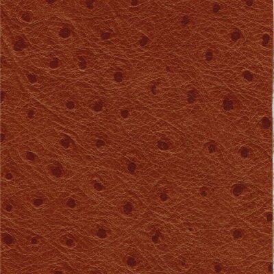 Strauß 2532 - tan