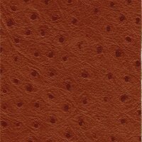 Strauß 2532 - tan