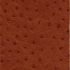 Strauß 2532 - tan
