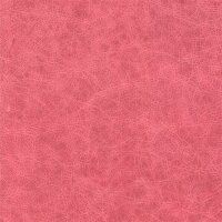Canyon 4498 - coral red