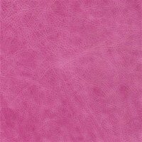 Canyon 4988 - fuchsia