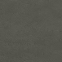 Afrika echtes Büffelleder 1250 - grey