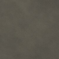 Afrika echtes Büffelleder 1258 - greystone