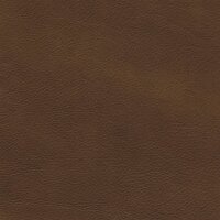 Afrika echtes Büffelleder 2211 - turf hell