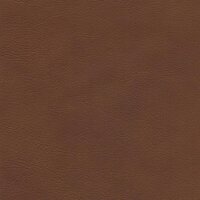 Afrika echtes Büffelleder 2577 - tan