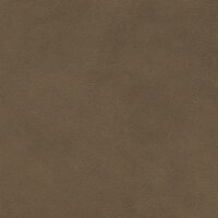 Afrika echtes Büffelleder 3296 - mud