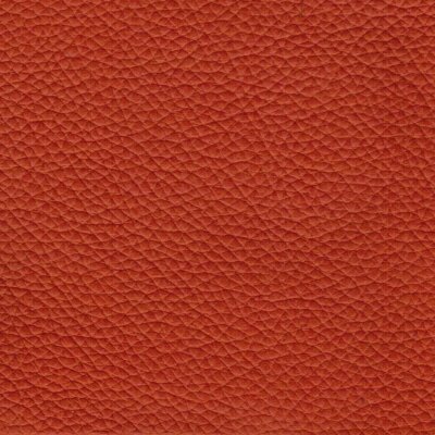 Pisa 4864 - terracotta